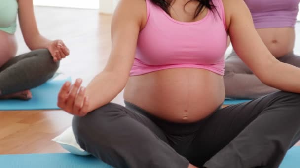 Pregnant women doing yoga in fitness studio — Stock Video