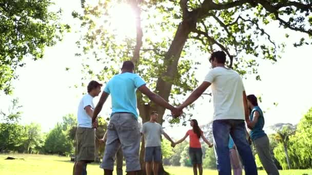 Menschen halten sich im Kreis an den Händen — Stockvideo