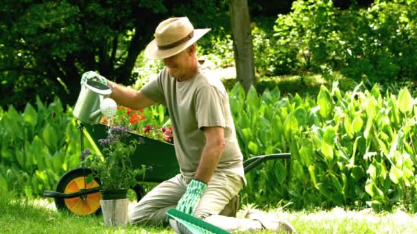 Homme retraité arrosant sa plante — Video