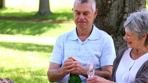 Äldre par avkopplande i parken tillsammans med champagne — Stockvideo