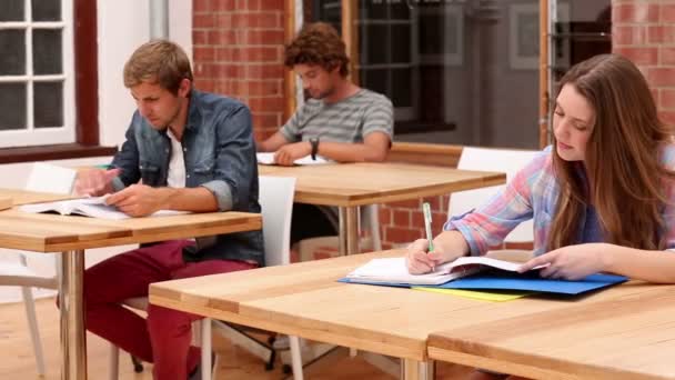 Studenten, die im Hörsaal sitzen und studieren — Stockvideo