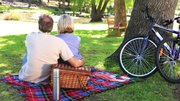 Pareja feliz haciendo un picnic en el parque — Vídeos de Stock