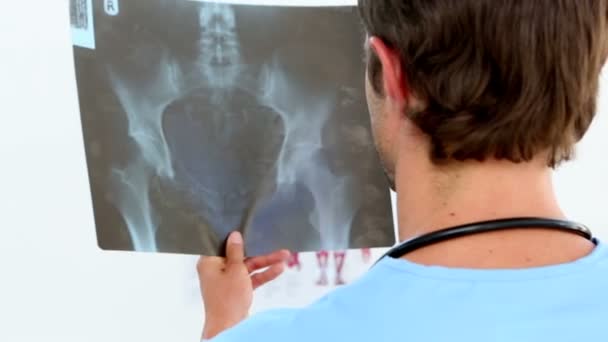 Bonita enfermeira examinando um raio-x — Vídeo de Stock