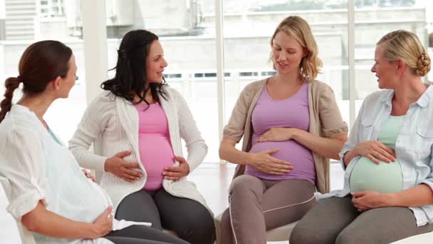 Mujeres embarazadas hablando juntas en clase prenatal — Vídeos de Stock