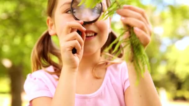 Chica mirando a la planta a través de lupa — Vídeos de Stock