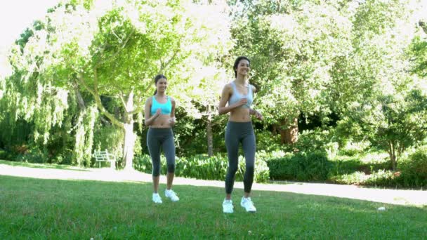 Passar vänner kör tillsammans i parken — Stockvideo