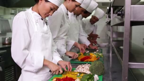 Chefs rebanando verduras — Vídeo de stock