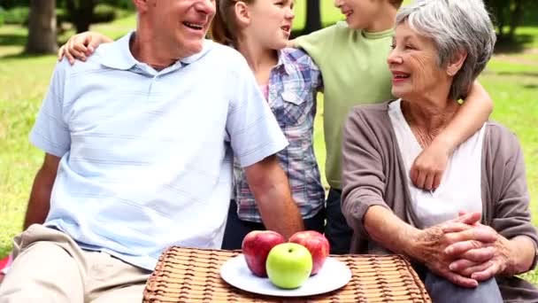 Παππούδες και γιαγιάδες με ένα πικνίκ με τα εγγόνια τους — Αρχείο Βίντεο