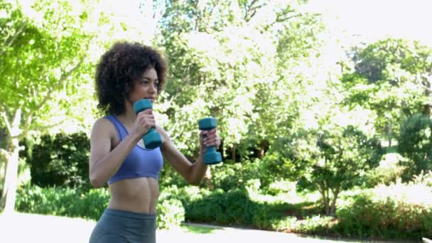 Fit brunette travailler avec des haltères dans le parc — Video