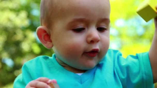 Adorável menino brincando na grama — Vídeo de Stock