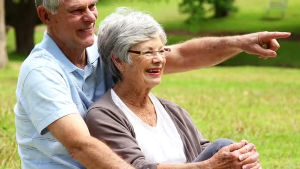 Aanhankelijk senior koppel ontspannen in het park — Stockvideo