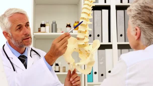 Doctor explicando un modelo de columna vertebral al paciente — Vídeos de Stock