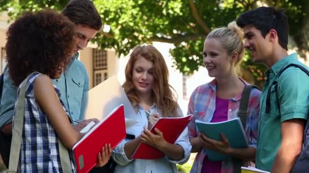 Estudiantes de pie y charlando juntos — Vídeo de stock