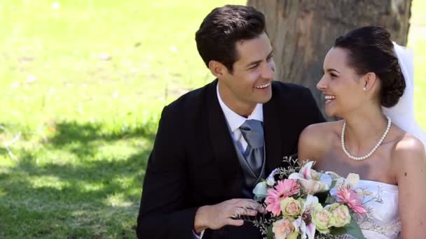 Recém-casados sentados no parque ao lado de uma árvore — Vídeo de Stock
