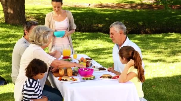 Familia feliz teniendo una barbacoa en el parque juntos — Vídeo de stock