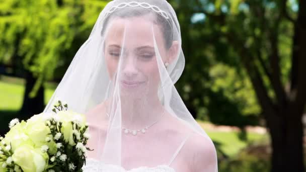 Pretty bride with veil over her face — Stock Video