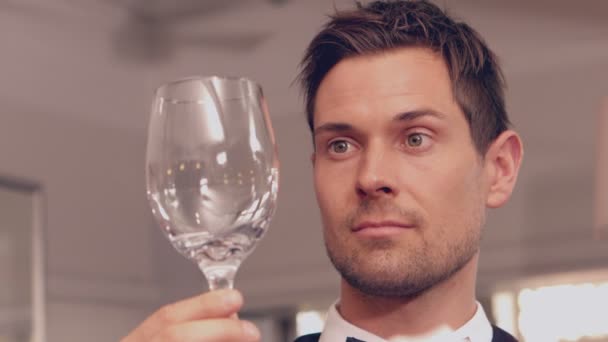 Waiter polishing wine glass — Stock Video