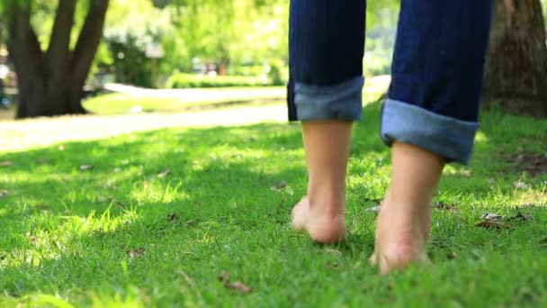 Mujer caminando descalza sobre la hierba — Vídeo de stock