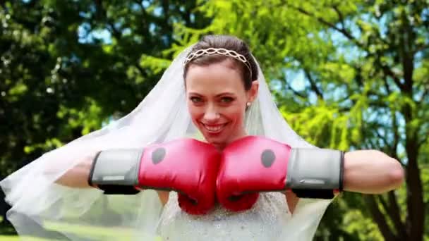 Pretty bride wearing boxing gloves — Stock Video