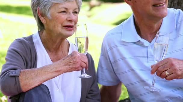 Senior koppel ontspannen in het park samen met champagne — Stockvideo