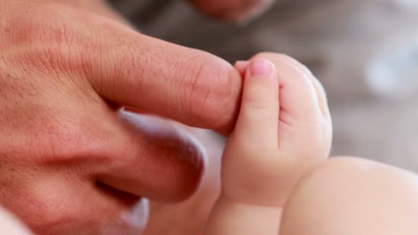 Adult hands holding baby hands — Stock Video