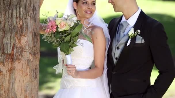 Recém-casados em pé no parque ao lado de uma árvore — Vídeo de Stock