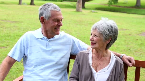 Retired couple sitting on a park bench talking — Stock Video