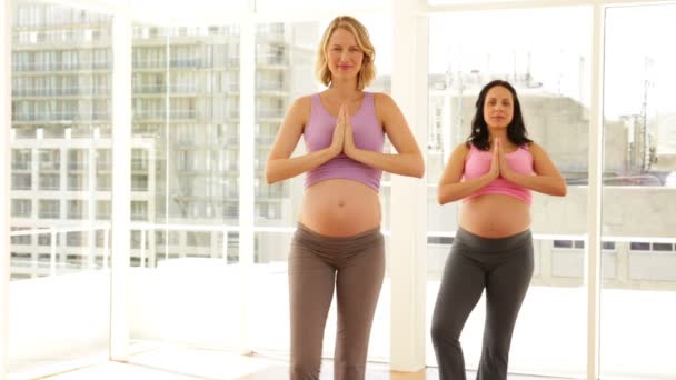 Zwangere vrouwen doen yoga in fitness-studio — Stockvideo