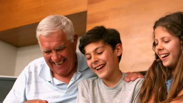 Grandparents laughing with their grandchildren — Stock Video