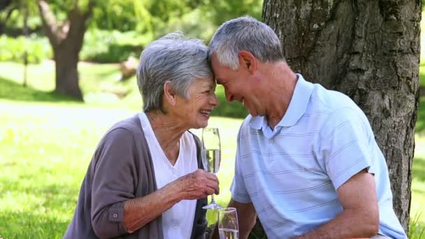 Starszy para relaksujący w parku razem po szampana — Wideo stockowe
