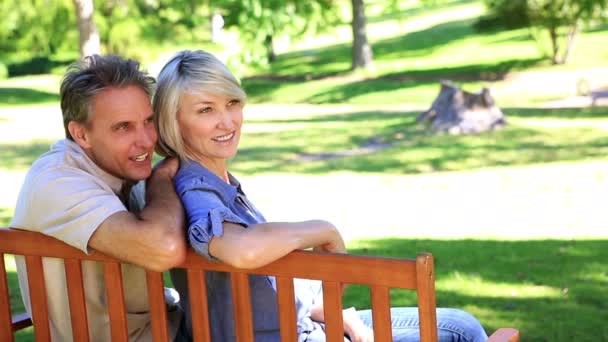 Affectionate couple sitting on park bench chatting — Stock Video