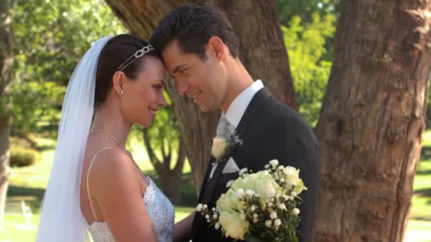 Recién casados de pie en el parque — Vídeo de stock