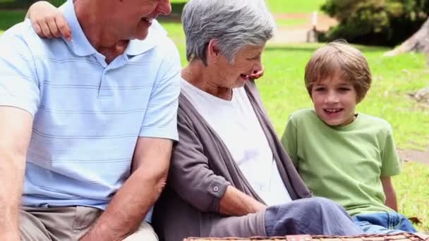 Nonni che fanno un picnic con i loro nipoti — Video Stock