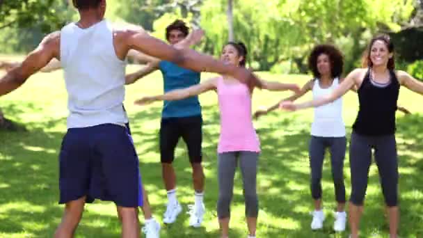 Fitness class doing jumping jacks in the park — Stock Video