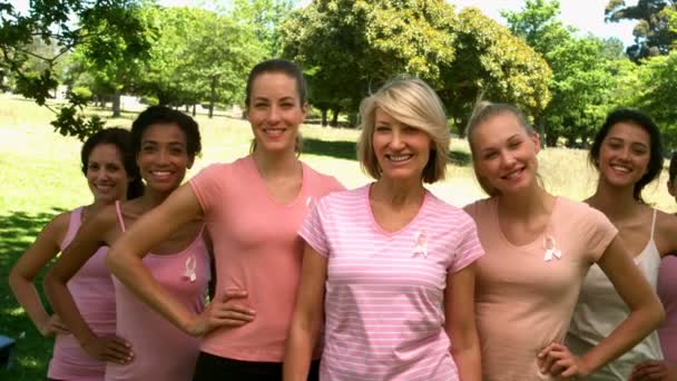 Grupo de mujeres vestidas de rosa para el cáncer de mama en el parque — Vídeos de Stock