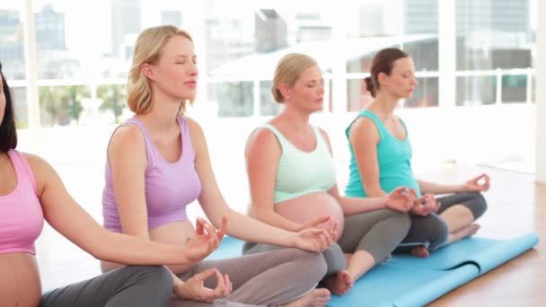 Pregnant women doing yoga in fitness studio — Stock Video