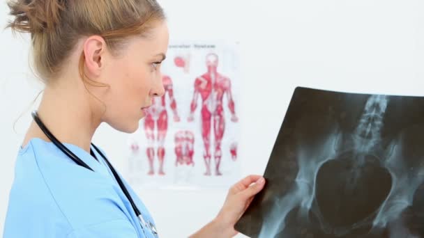 Enfermera bonita examinando una radiografía — Vídeos de Stock