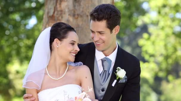 Recién casados sentados en el parque junto a un árbol — Vídeo de stock