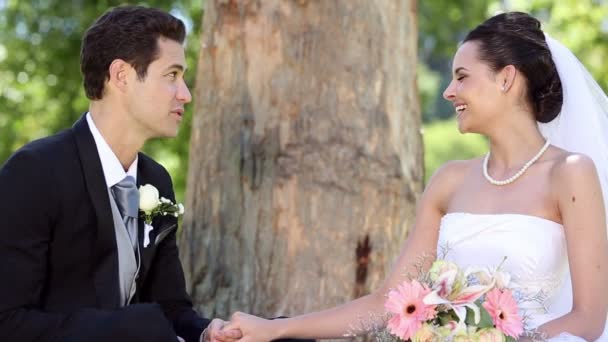 Recién casados sentados en el parque junto a un árbol — Vídeo de stock