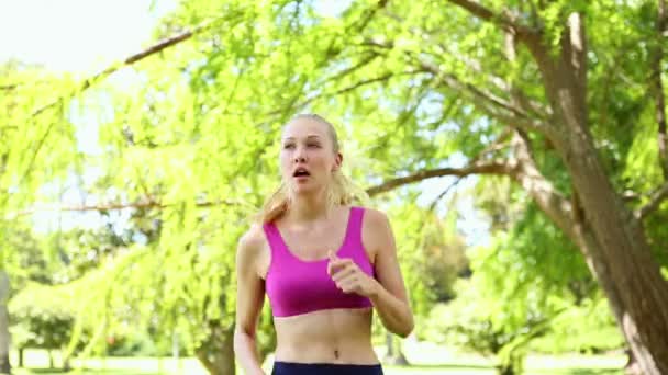 Přizpůsobit, blondýna si zaběhat do parku — Stock video