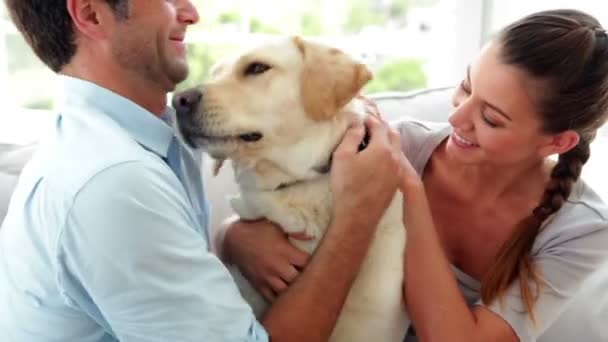 Pareja acariciando a su perro labrador en el sofá — Vídeo de stock