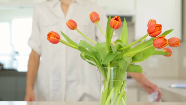 女人嗅到她的郁金香的花瓶 — 图库视频影像