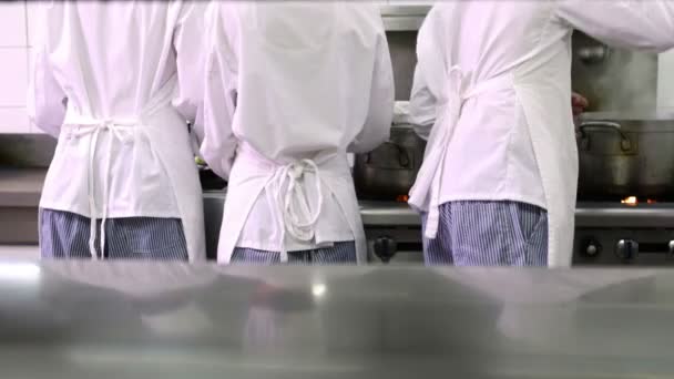 Rear view of busy chefs at work — Stock Video