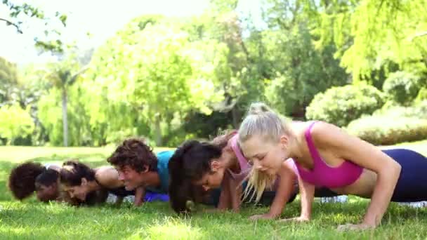 Fitness klass göra push ups i parken — Stockvideo