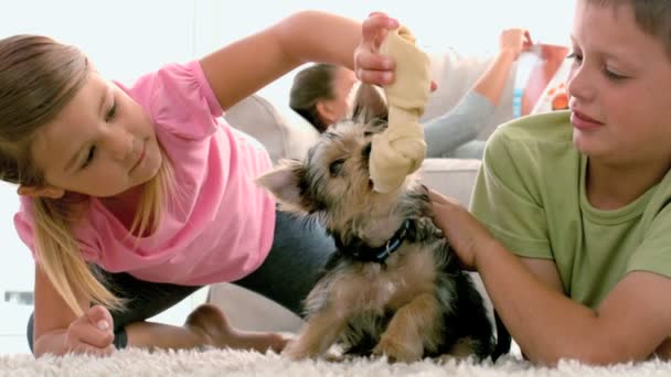 Siblings playing with puppy and bone — Stock Video