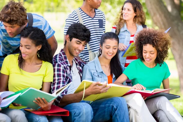 Estudiantes estudiando juntos en el campus — Foto de Stock