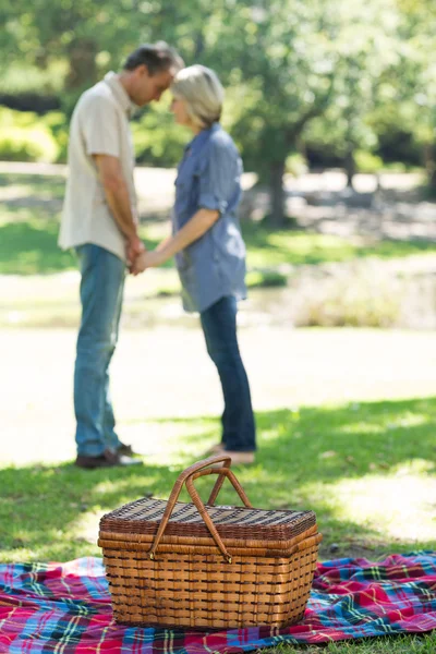 Picknickkorg på filt i parken — Stockfoto