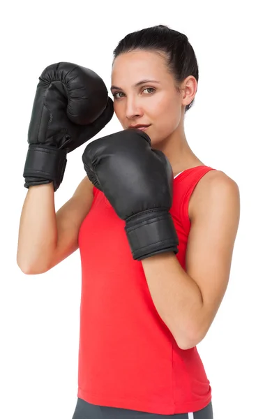 Retrato de uma determinada boxeadora focada em seu treinamento — Fotografia de Stock