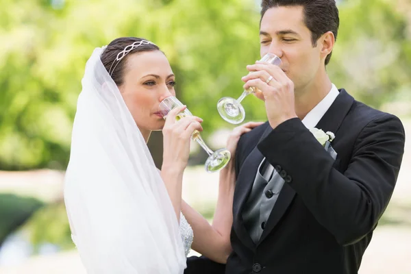 Paren die champagne drinken — Stockfoto