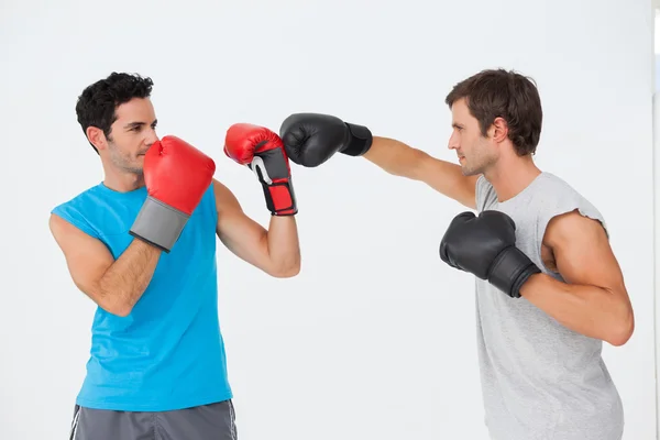 Sidovy av två manliga boxare tränar — Stockfoto